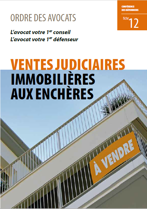 12 Ventes judiciaires immobilières aux enchères